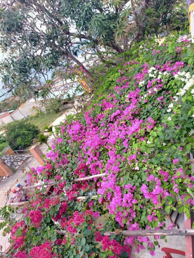 Confetti House Hotel Quy Nhon Eksteriør billede